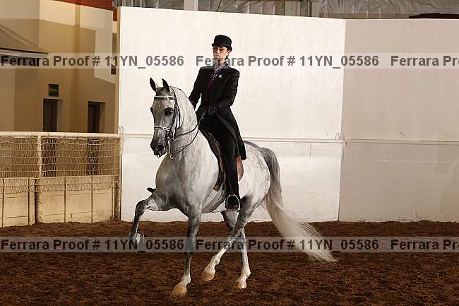 Proof 11yn_05586