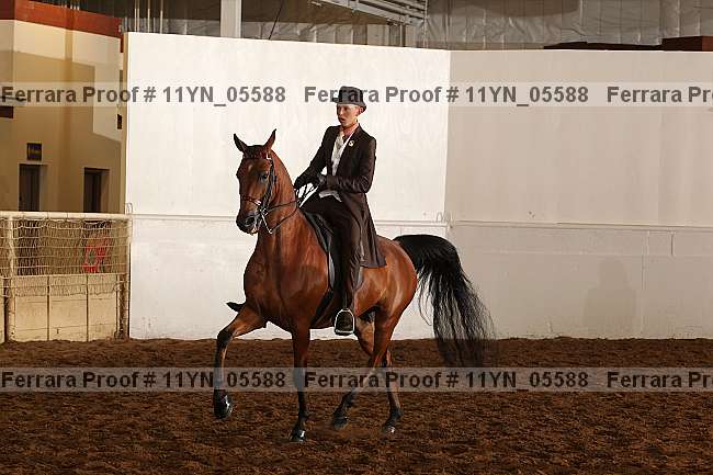 Proof 11yn_05588