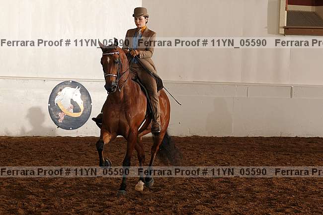 Proof 11yn_05590