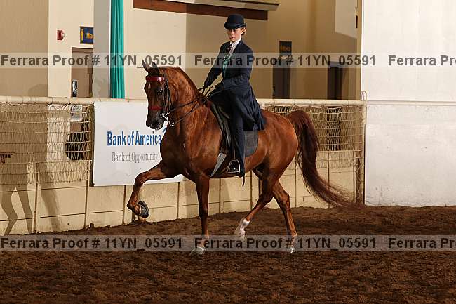 Proof 11yn_05591
