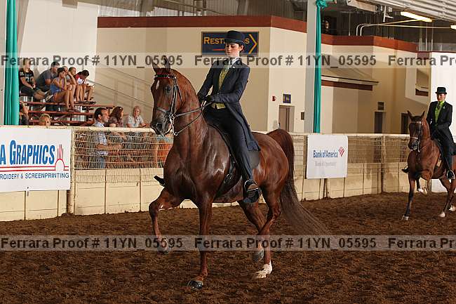 Proof 11yn_05595