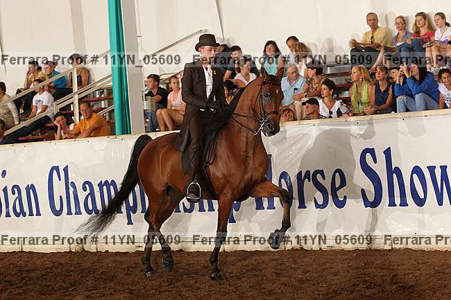 Proof 11yn_05609