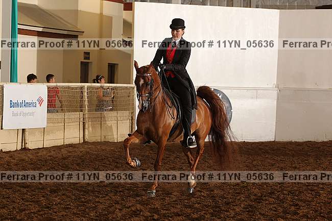 Proof 11yn_05636