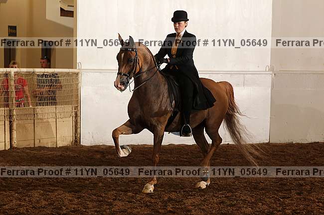 Proof 11yn_05649