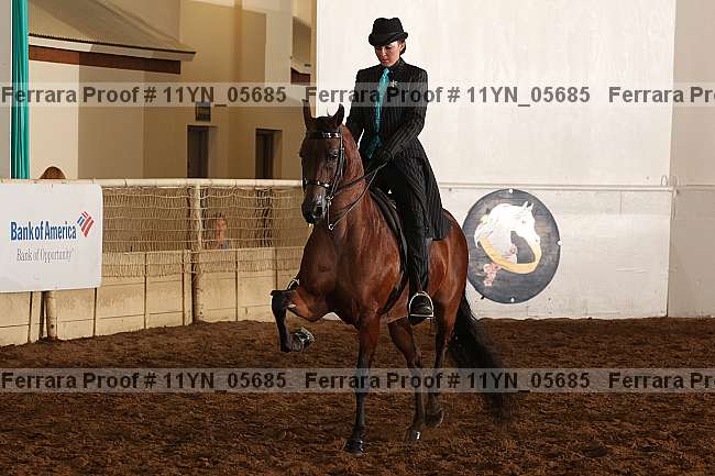Proof 11yn_05685