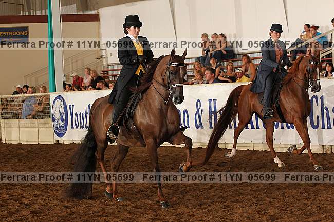 Proof 11yn_05699