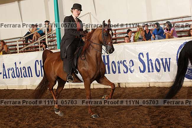 Proof 11yn_05703