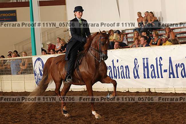 Proof 11yn_05706