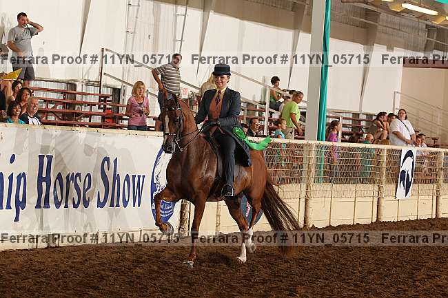 Proof 11yn_05715