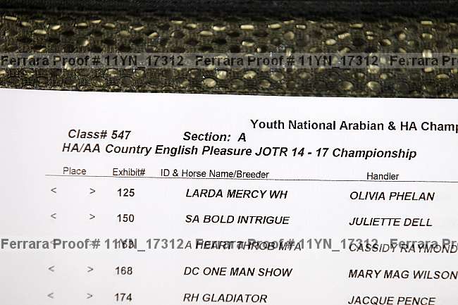 Proof 11yn_17312