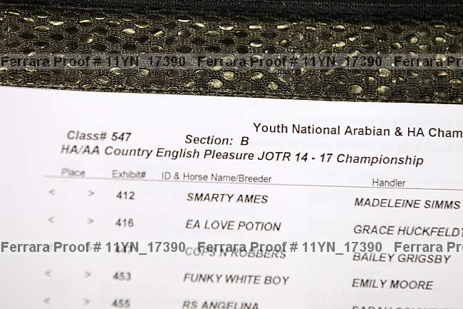 Proof 11yn_17390