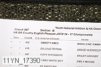 11yn_17390 proof