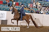 11yn_17411 proof