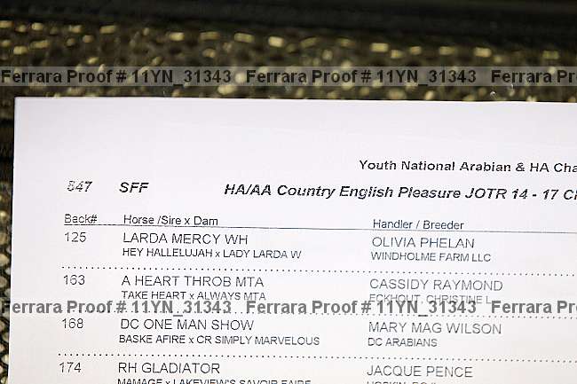Proof 11yn_31343
