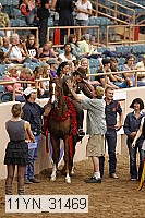 11yn_31469 proof