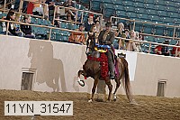 11yn_31547 proof