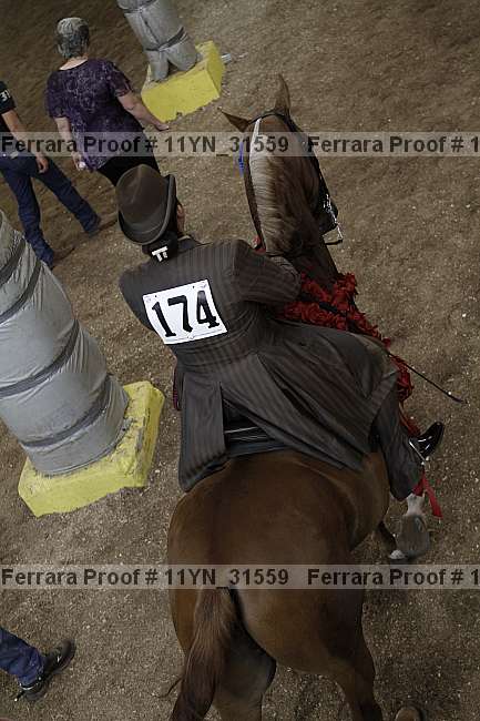 Proof 11yn_31559