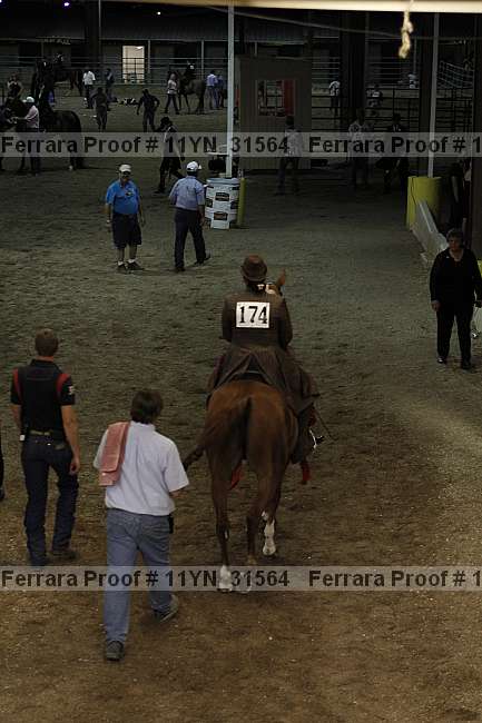Proof 11yn_31564