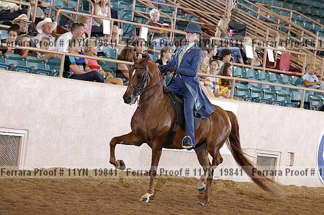 Proof 11yn_19841