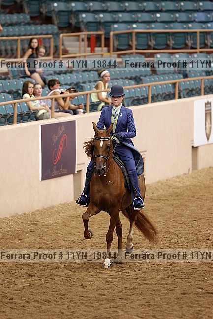 Proof 11yn_19844