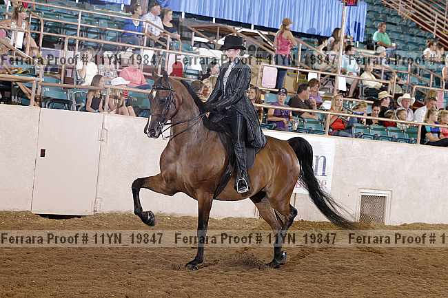 Proof 11yn_19847