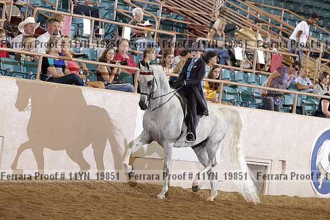 Proof 11yn_19851