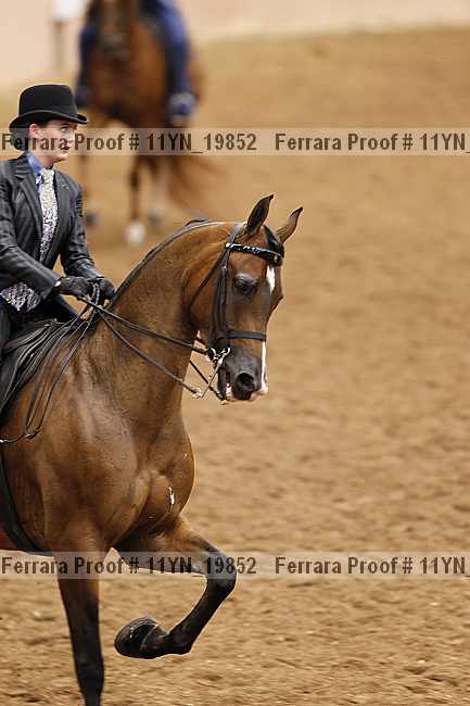 Proof 11yn_19852