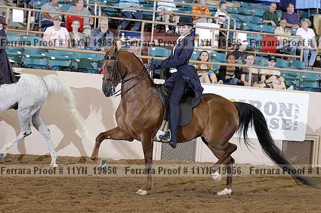 Proof 11yn_19856