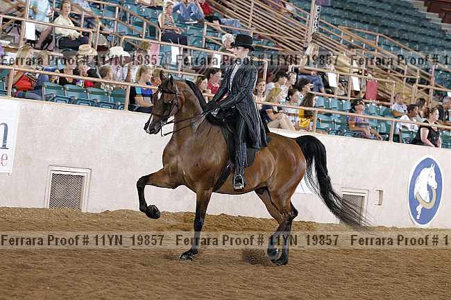 Proof 11yn_19857