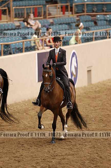 Proof 11yn_19873
