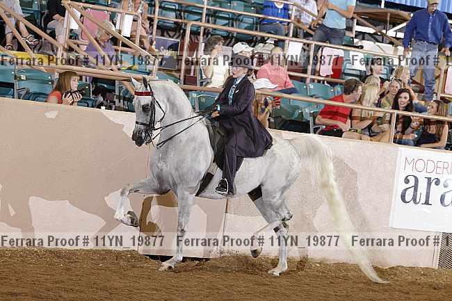 Proof 11yn_19877
