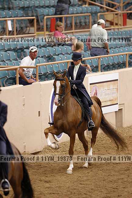Proof 11yn_19878