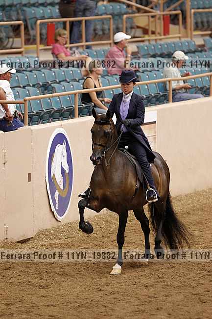 Proof 11yn_19882