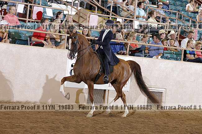 Proof 11yn_19883