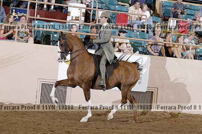 Proof 11yn_19888