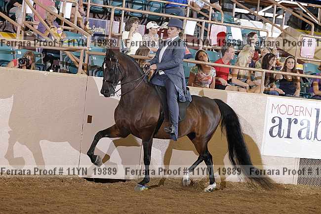Proof 11yn_19889