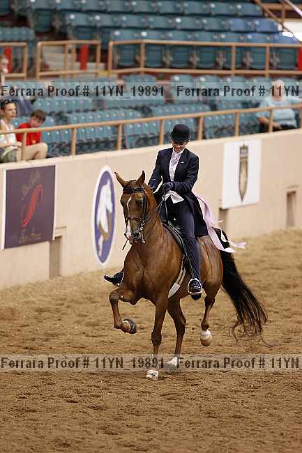 Proof 11yn_19891