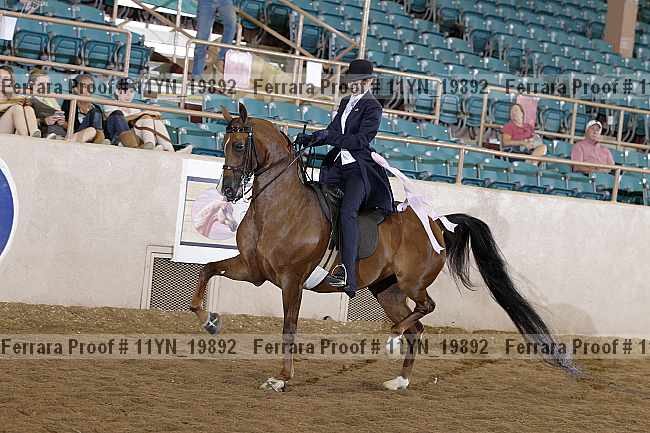 Proof 11yn_19892