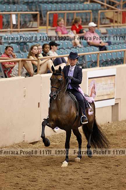 Proof 11yn_19903