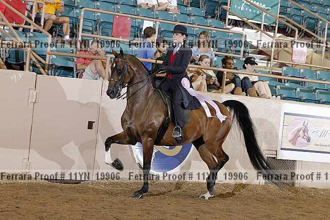 Proof 11yn_19906