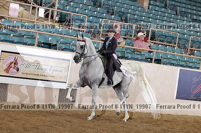 Proof 11yn_19907
