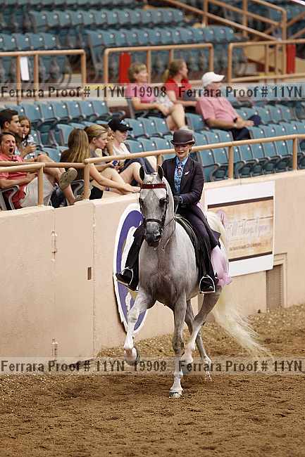 Proof 11yn_19908