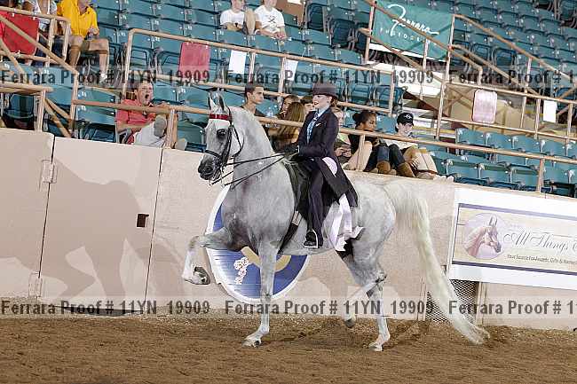 Proof 11yn_19909