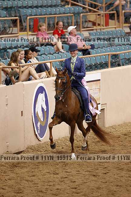 Proof 11yn_19913