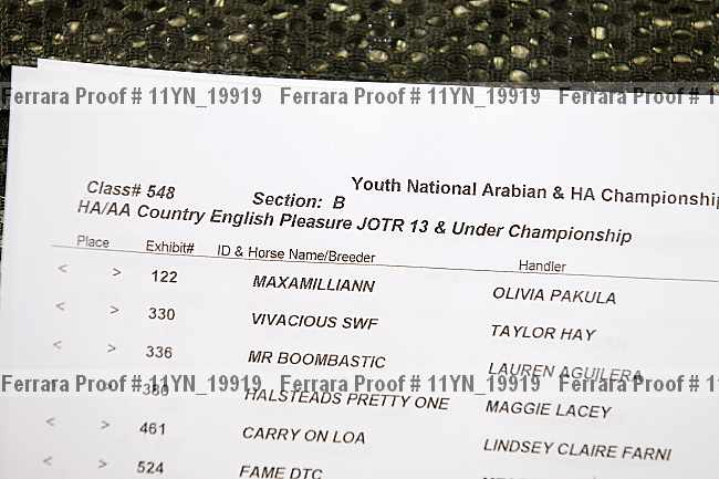 Proof 11yn_19919
