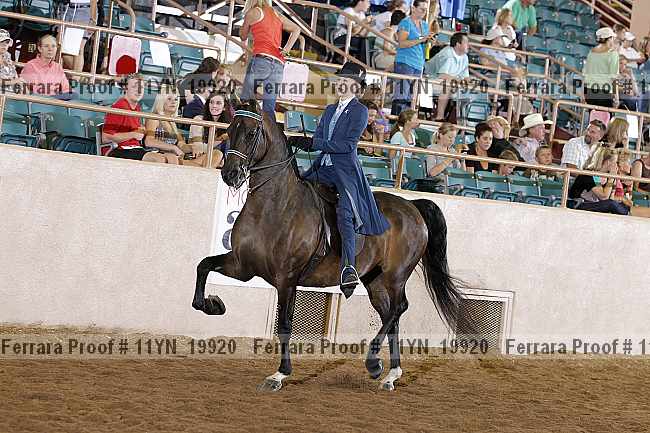 Proof 11yn_19920