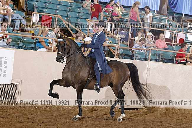 Proof 11yn_19921