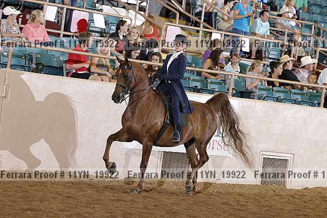 Proof 11yn_19922