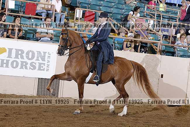 Proof 11yn_19925
