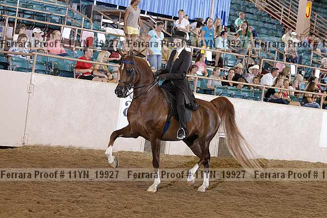 Proof 11yn_19927